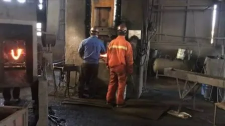 Pièces professionnelles de machines d'extraction de charbon de forgeage à chaud